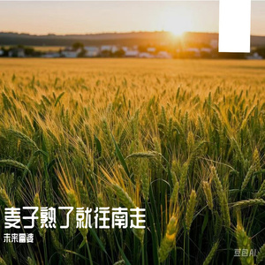 Pornhub最新版免费入口
