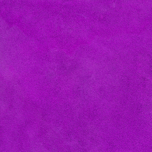 Pornhub最新版免费入口
